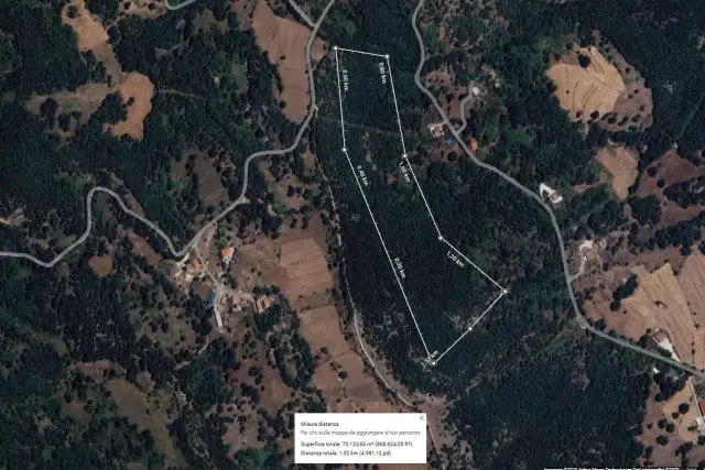 insertion image