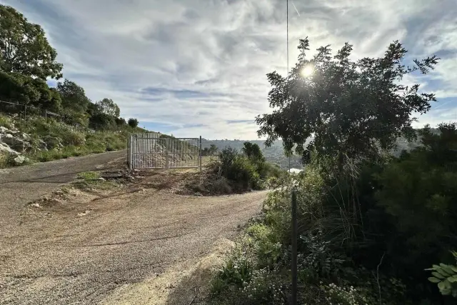 Agricultural land, Gaeta - Photo 1