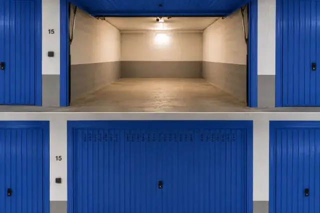 insertion image