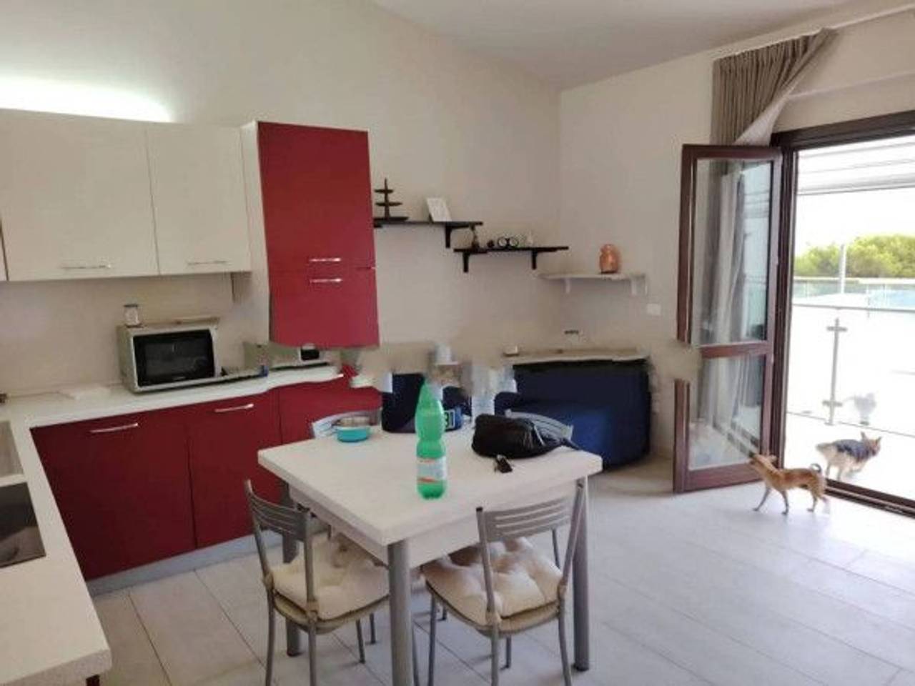 immagine annuncio 2 di 15