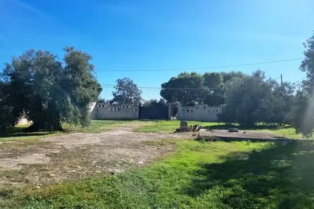 Terreno agricolo, Bisceglie - Foto 1