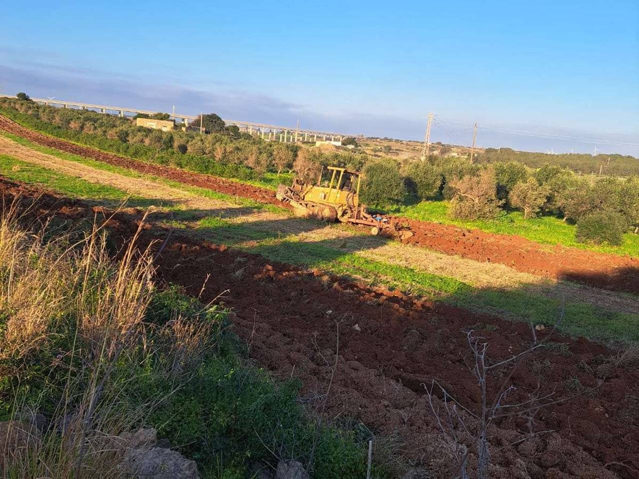 immagine annuncio 4 di 6