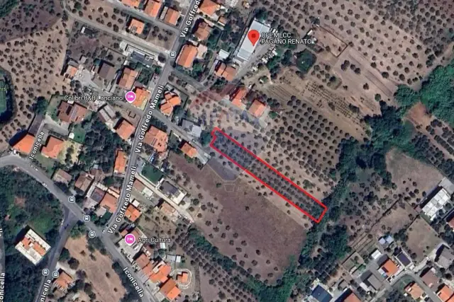 insertion image