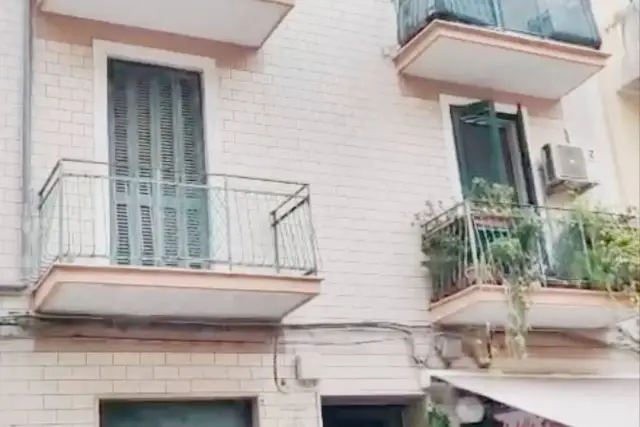 insertion image