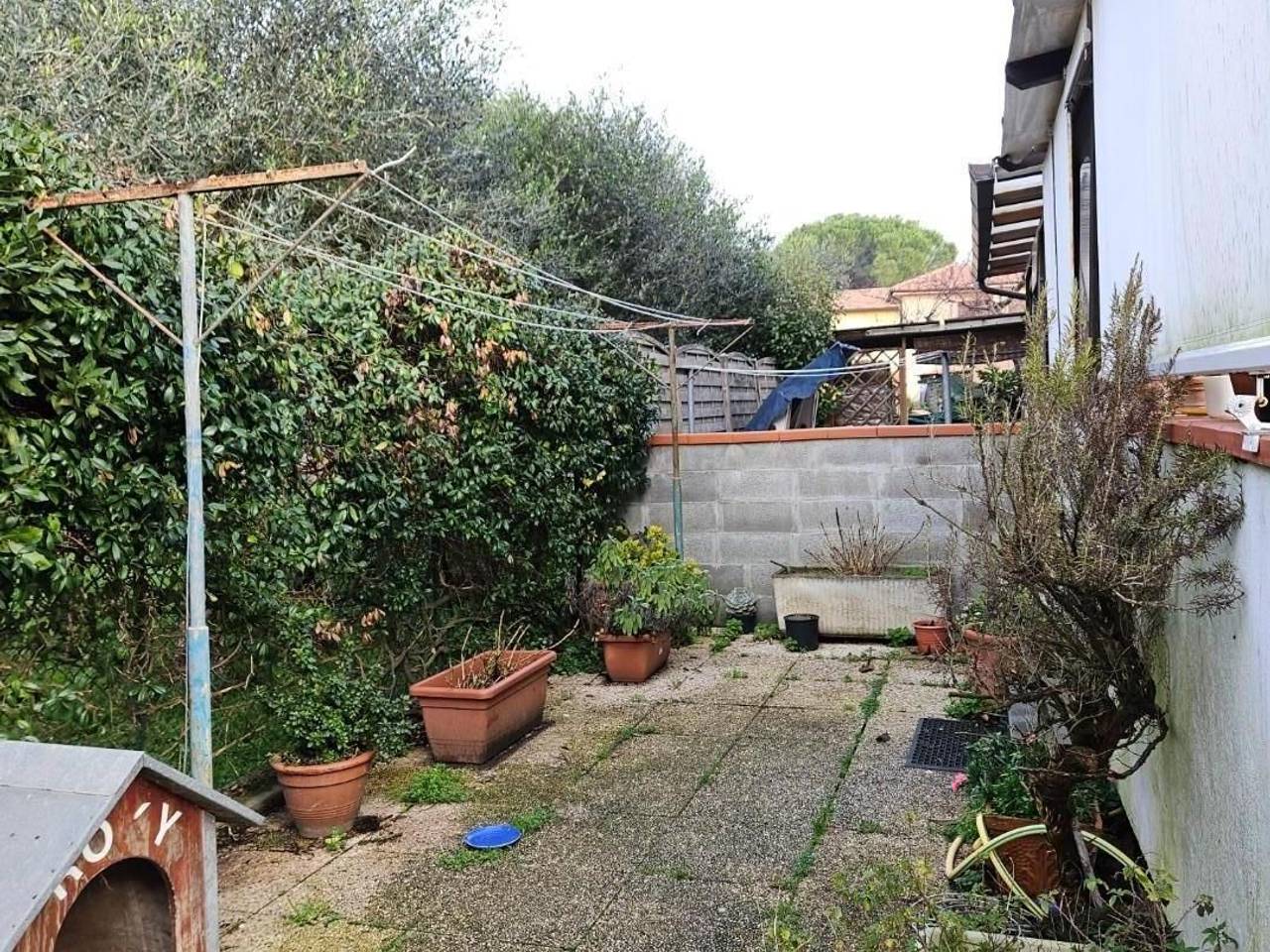 immagine annuncio 12 di 14