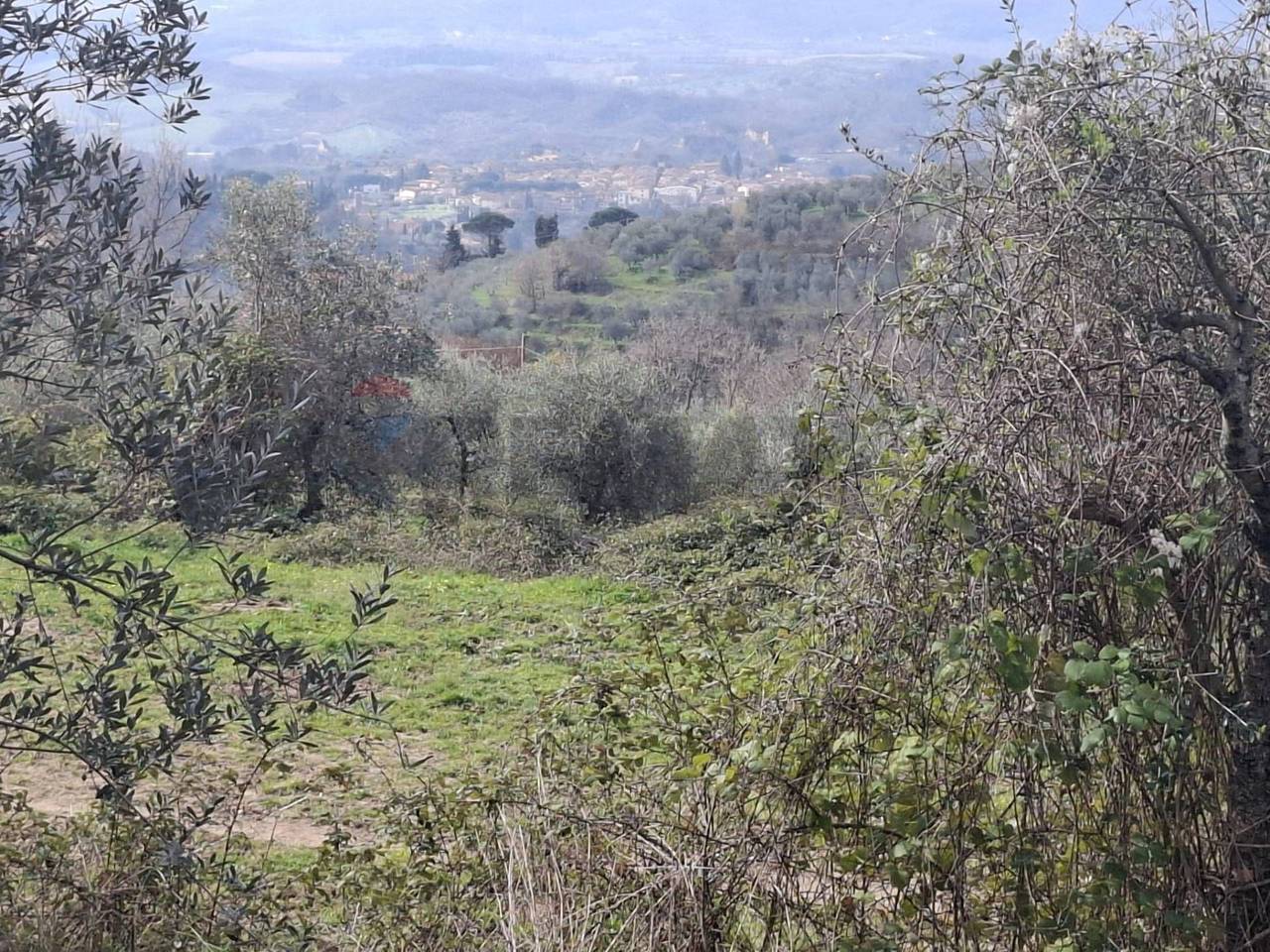 immagine annuncio 2 di 9