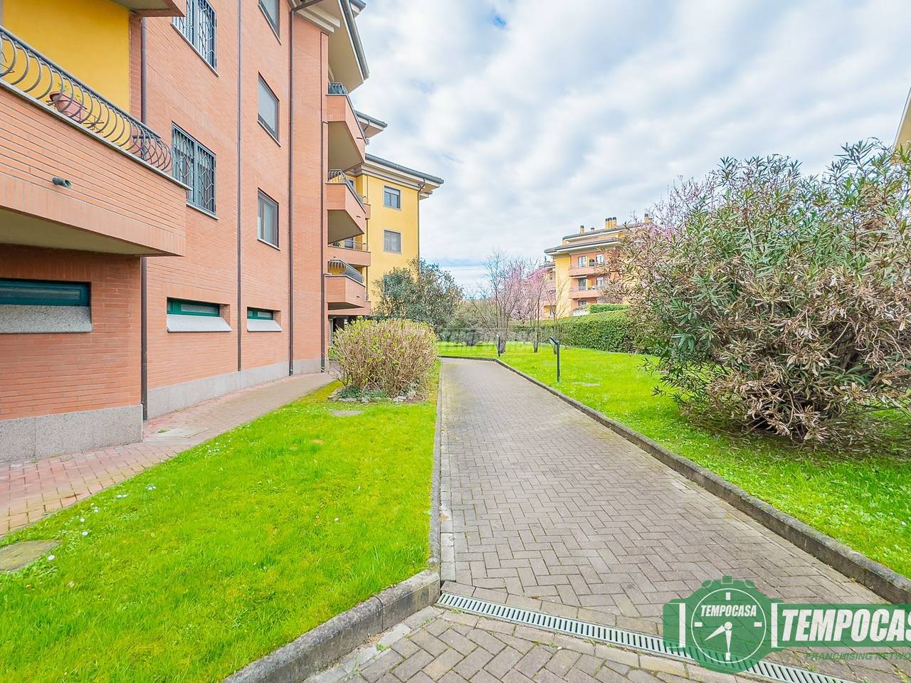 immagine annuncio 1 di 15