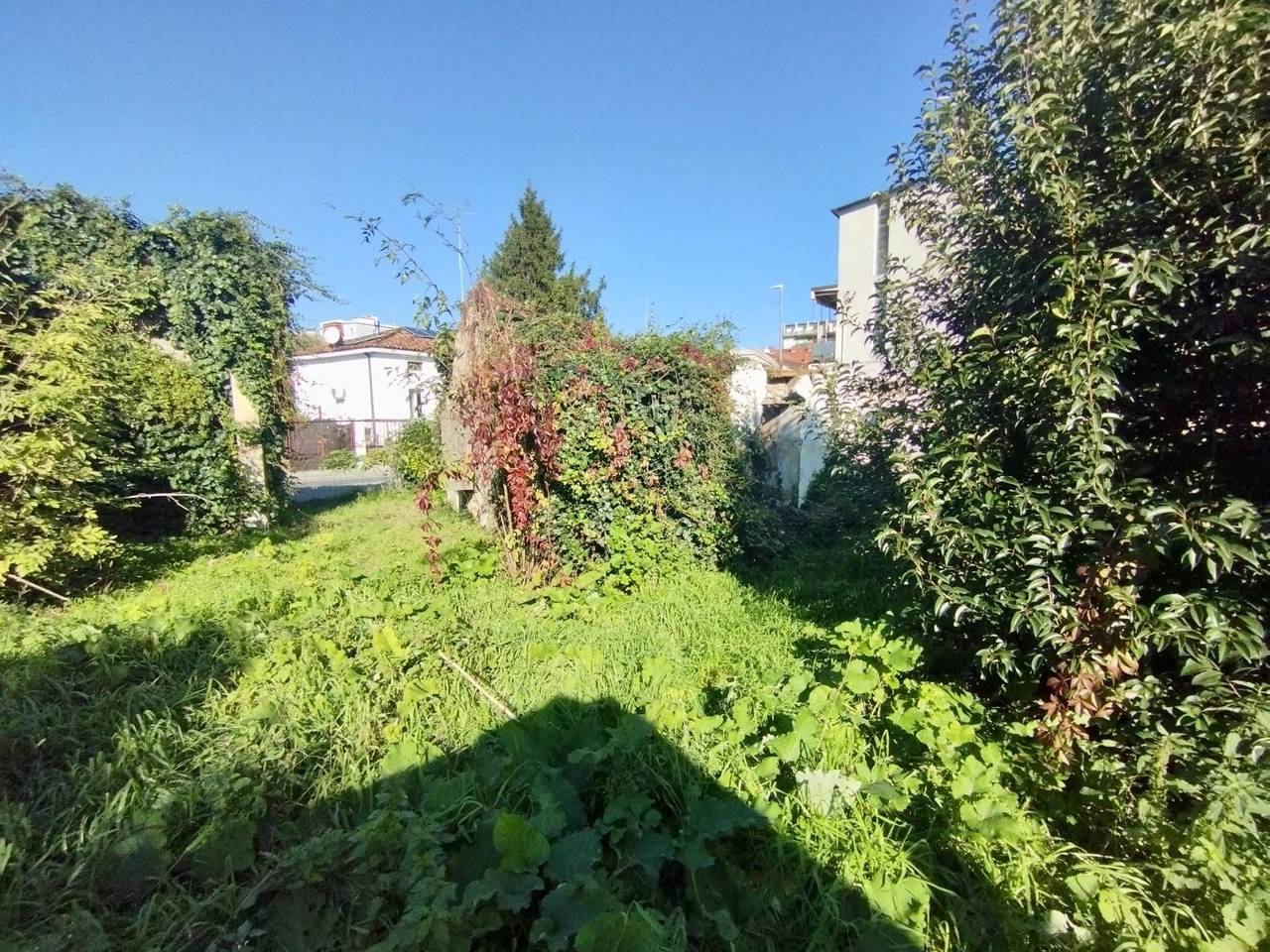 immagine annuncio 4 di 7