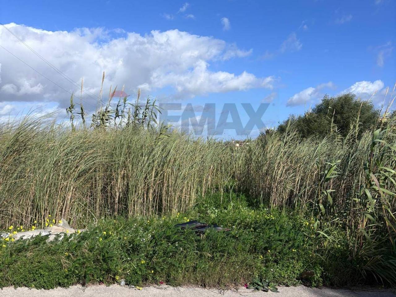 immagine annuncio 8 di 12