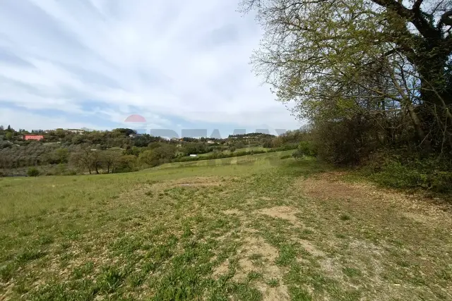 insertion image