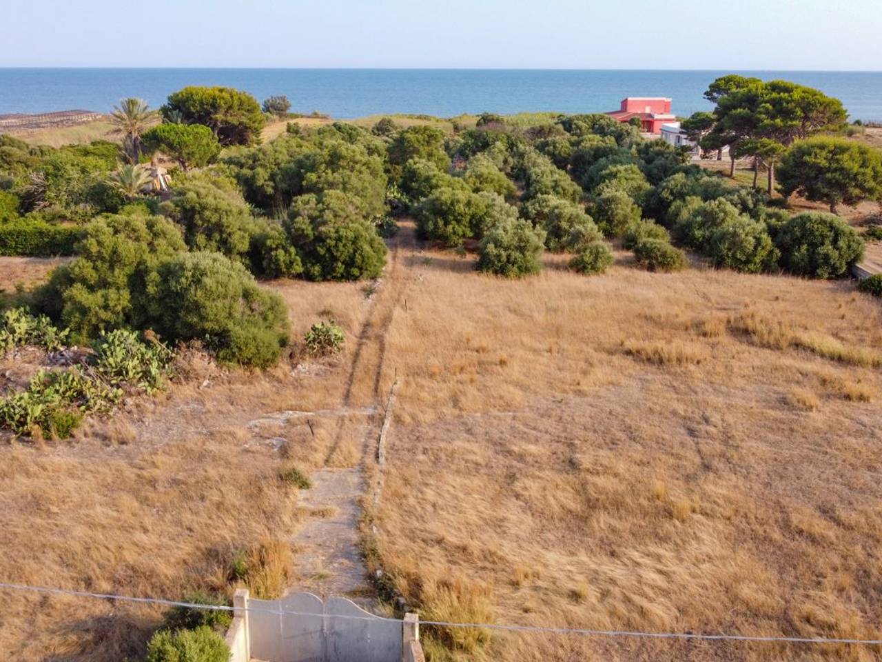 immagine annuncio 14 di 15