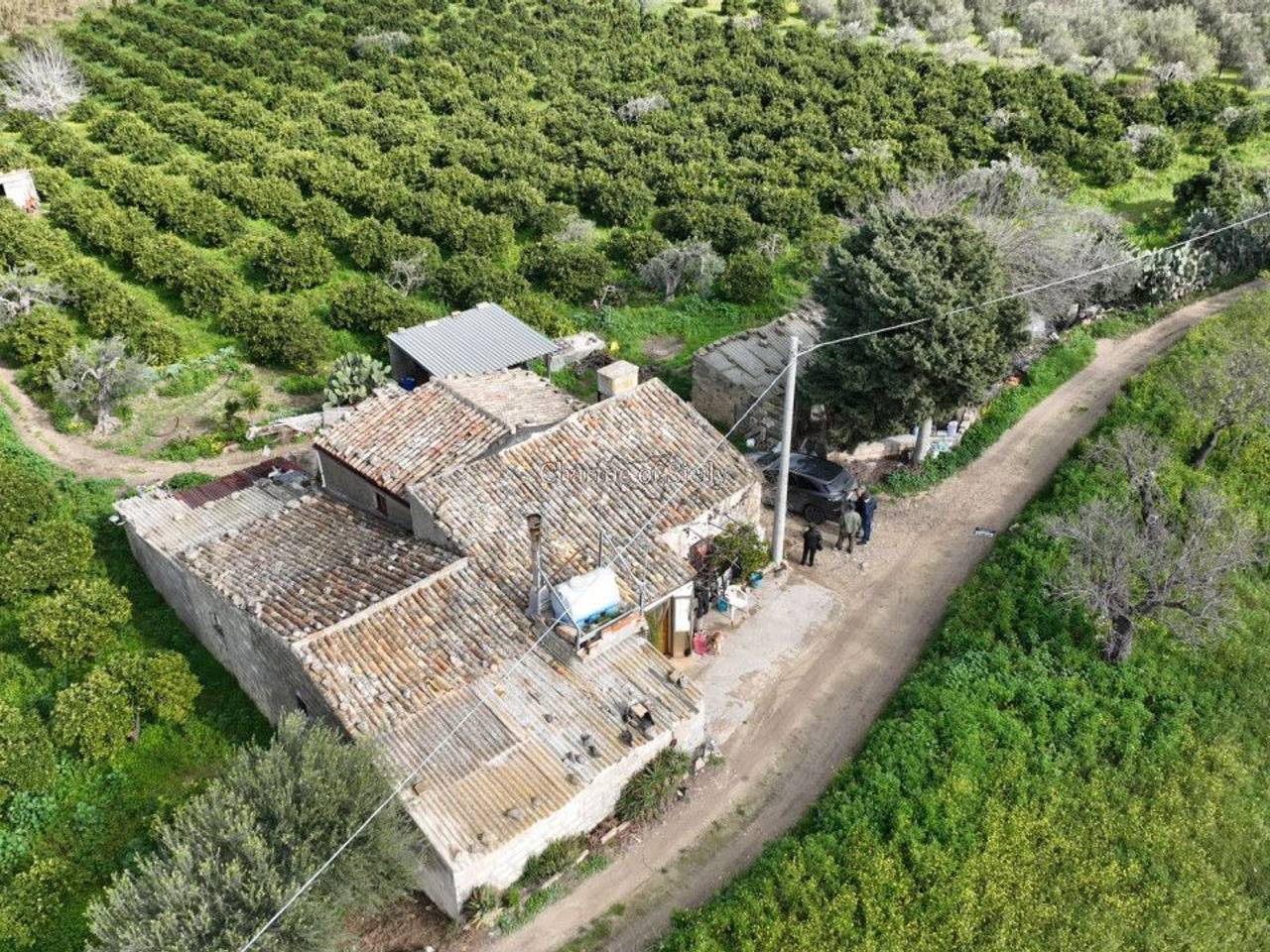 immagine annuncio 1 di 3