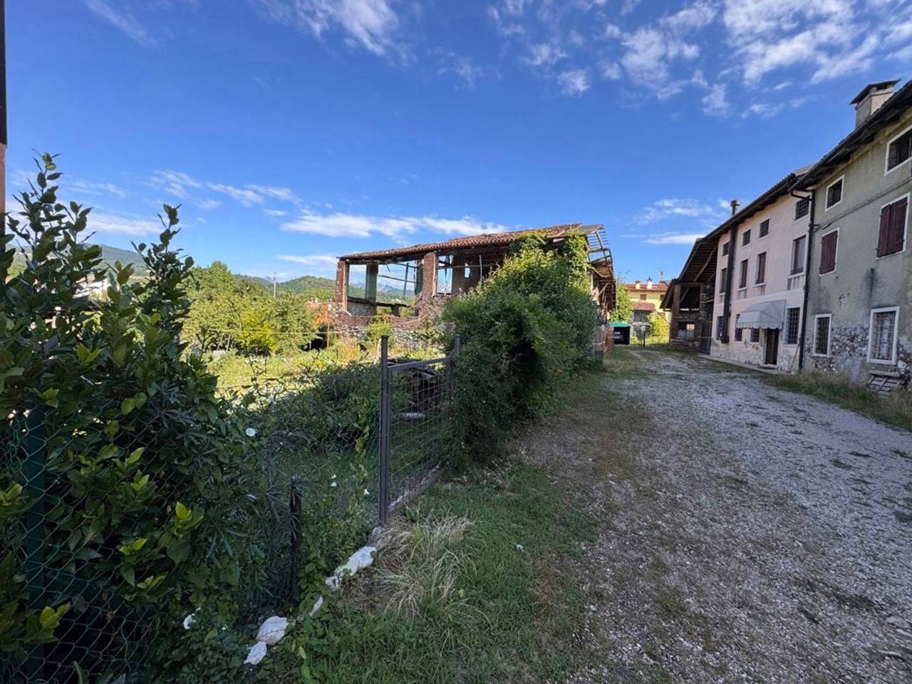 immagine annuncio 3 di 9