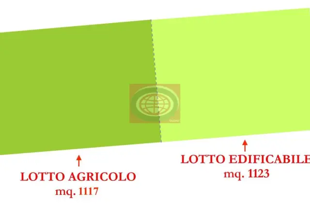 main planimetry real estate image