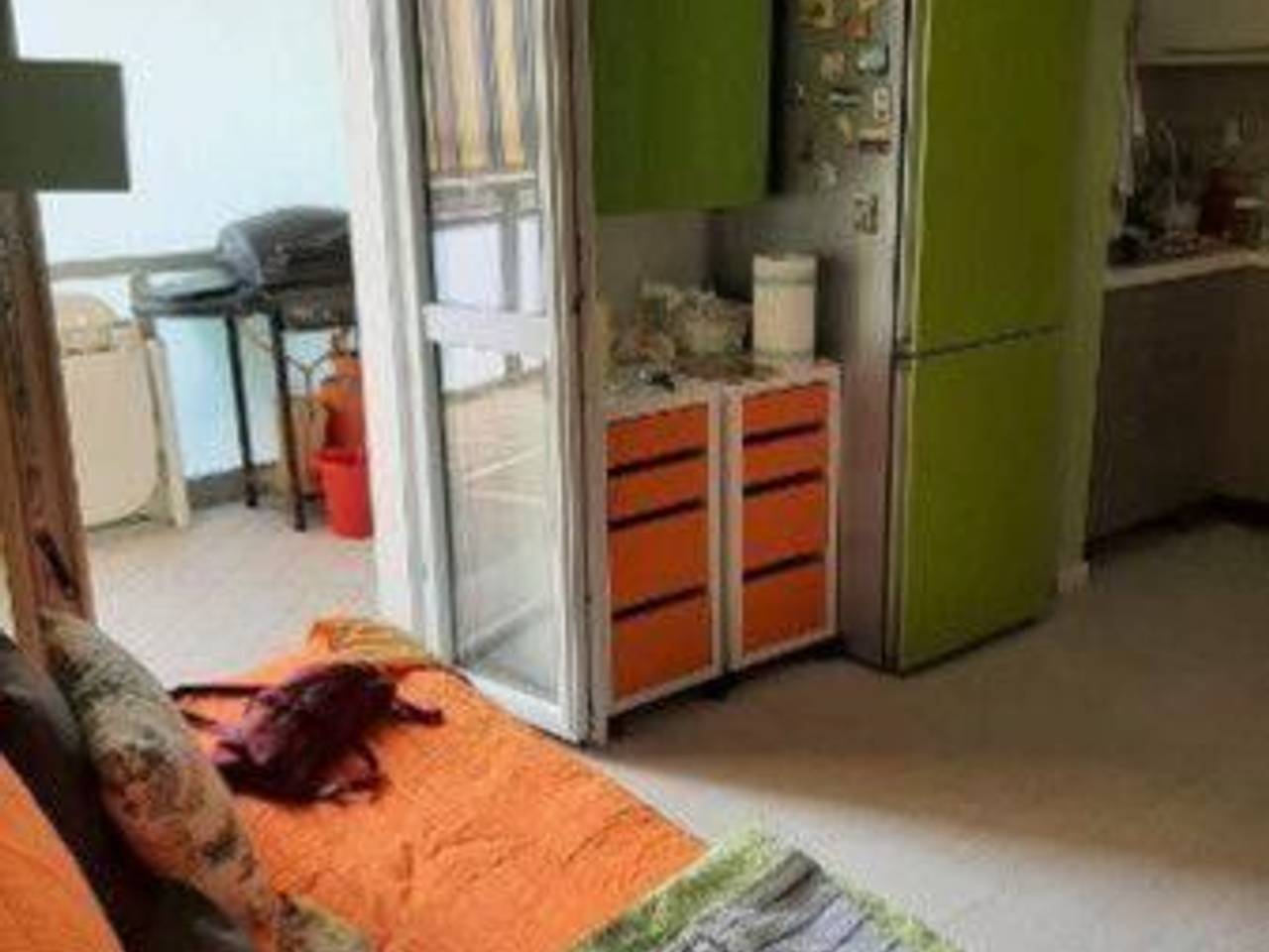 immagine annuncio 10 di 12