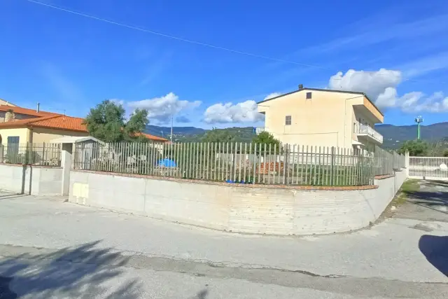 insertion image