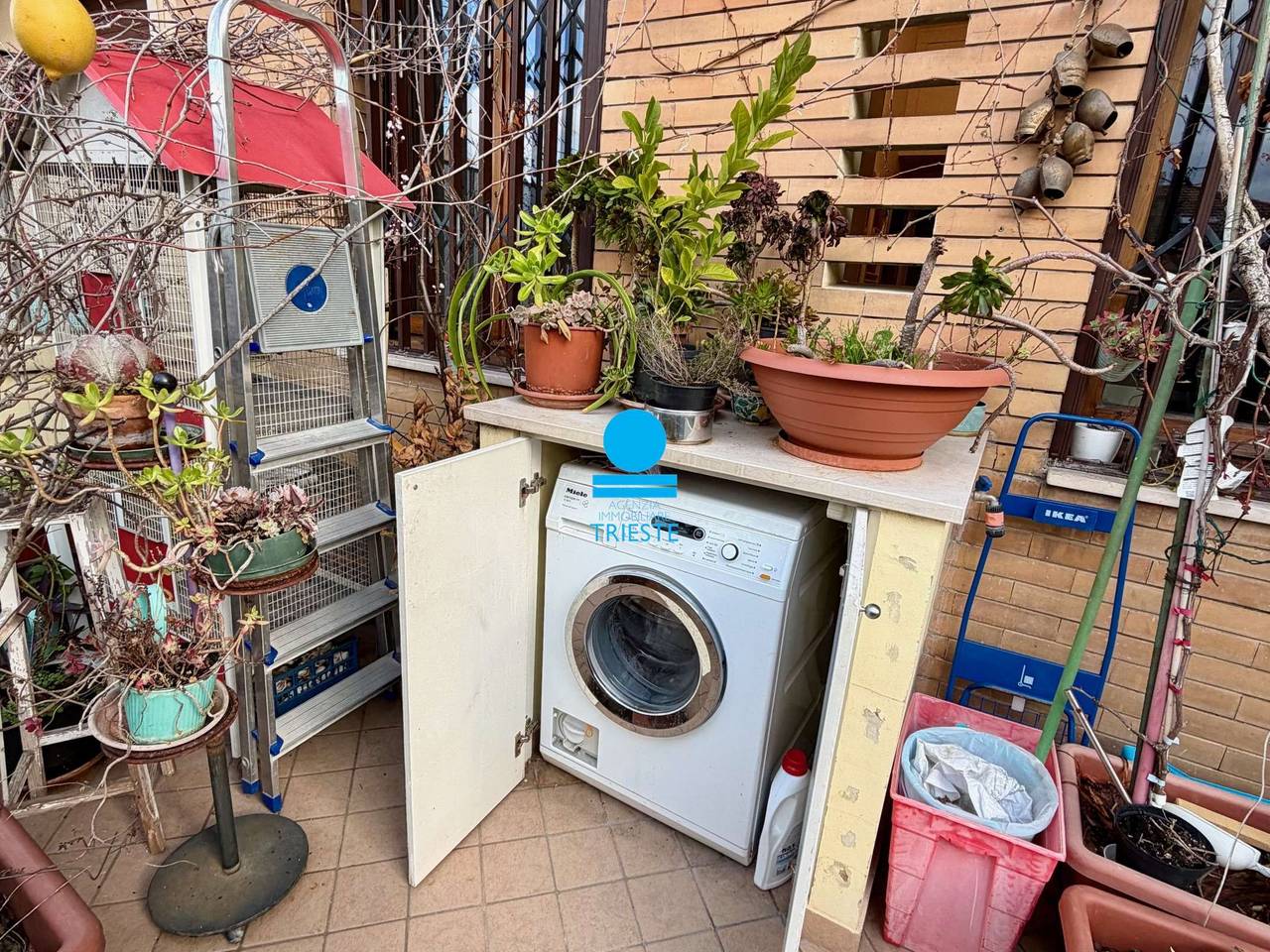 immagine annuncio 6 di 10