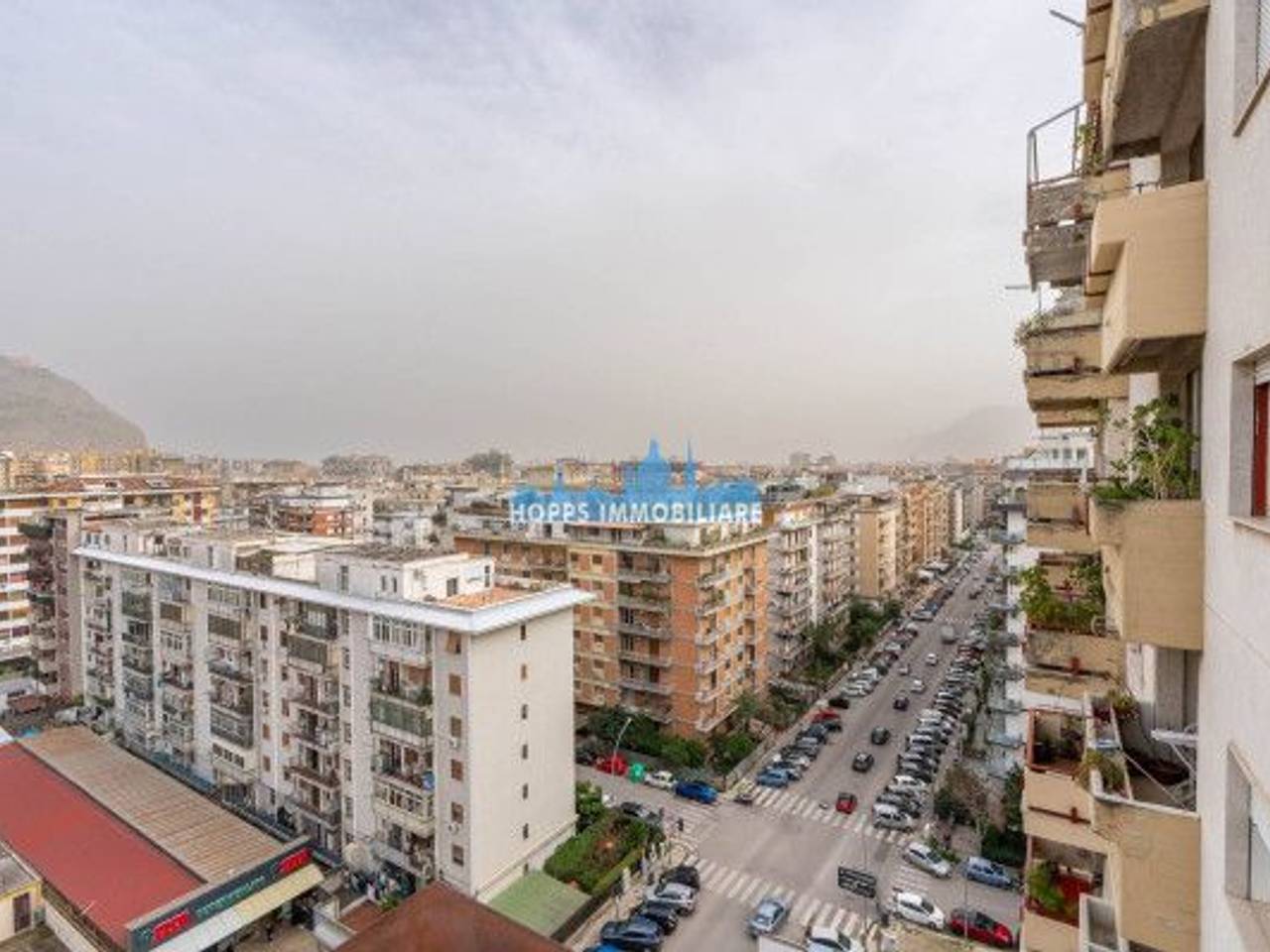 immagine annuncio 12 di 14