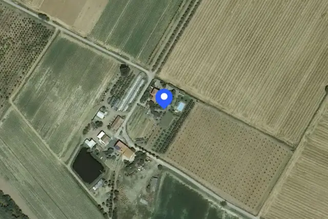 insertion image