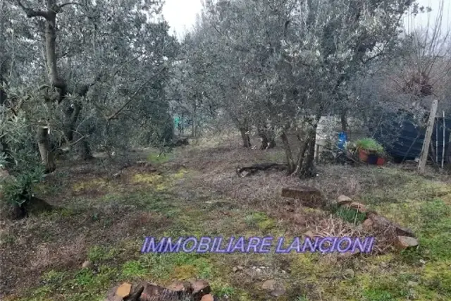 insertion image