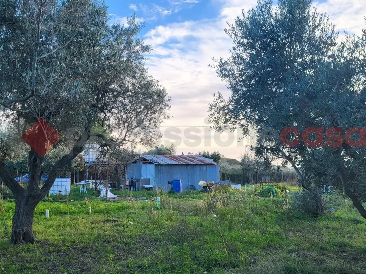 Magazzino in Via del Paratino, Cecina, {3} - Foto 1