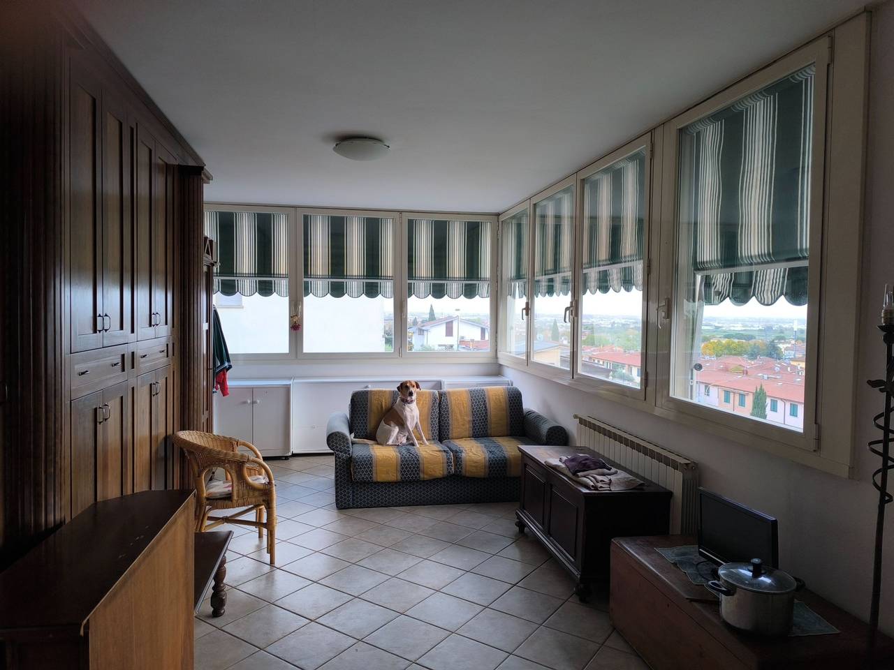 immagine annuncio 1 di 7