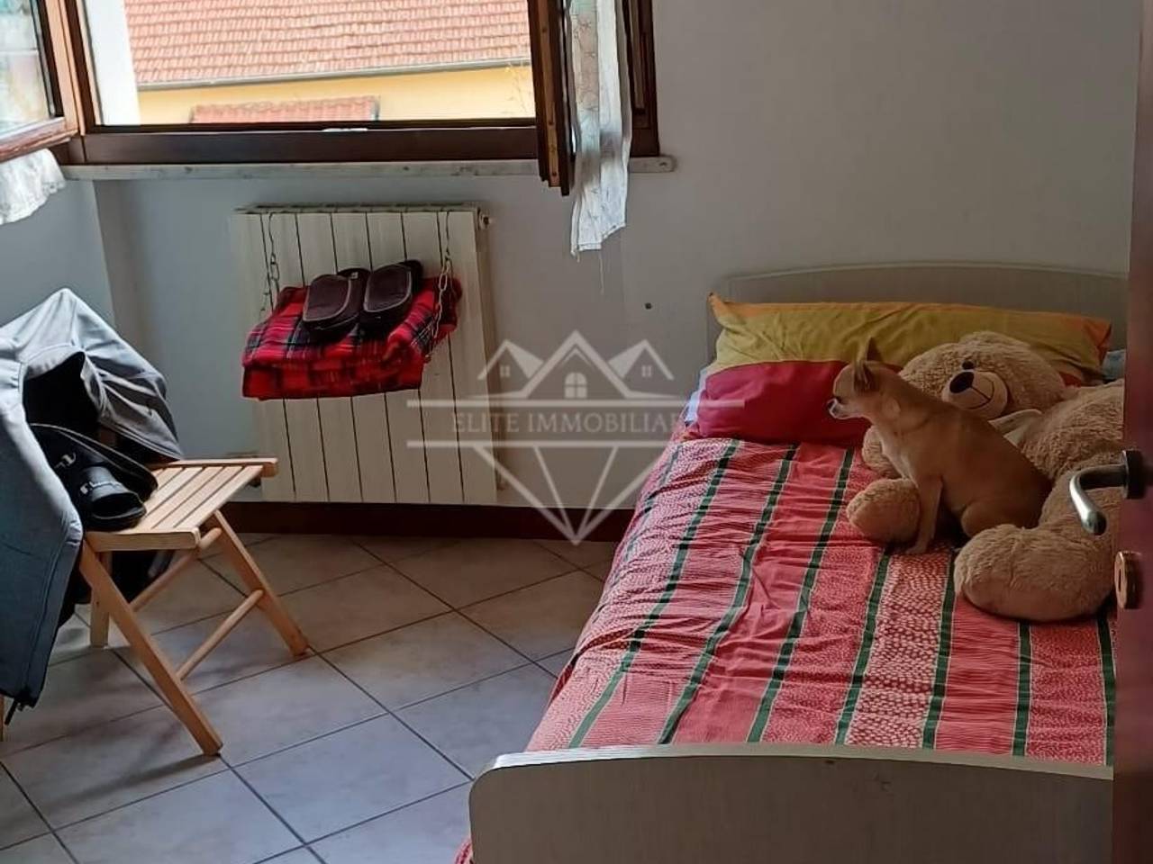 immagine annuncio 10 di 12