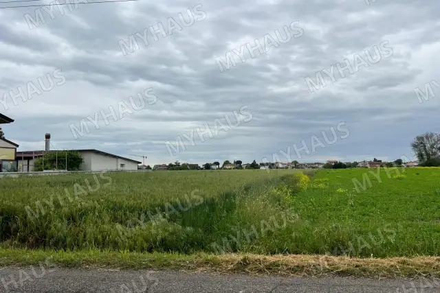 insertion image