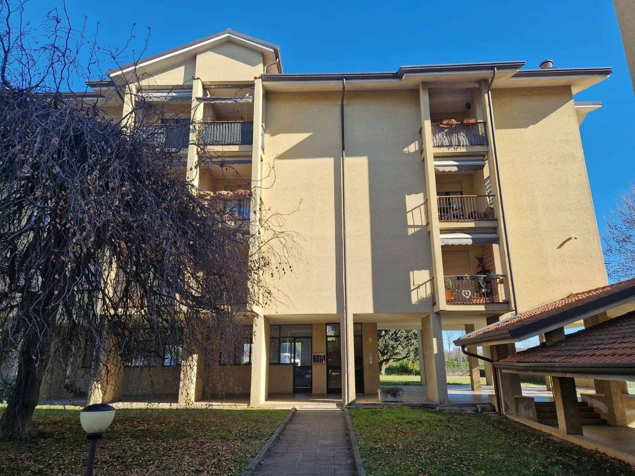 immagine annuncio 2 di 15