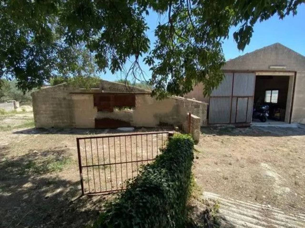 immagine annuncio 1 di 12