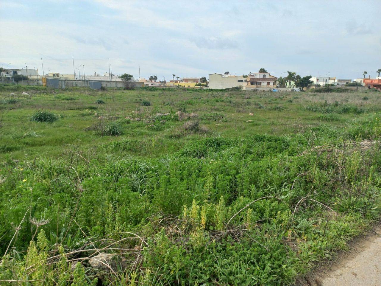 immagine annuncio 6 di 14