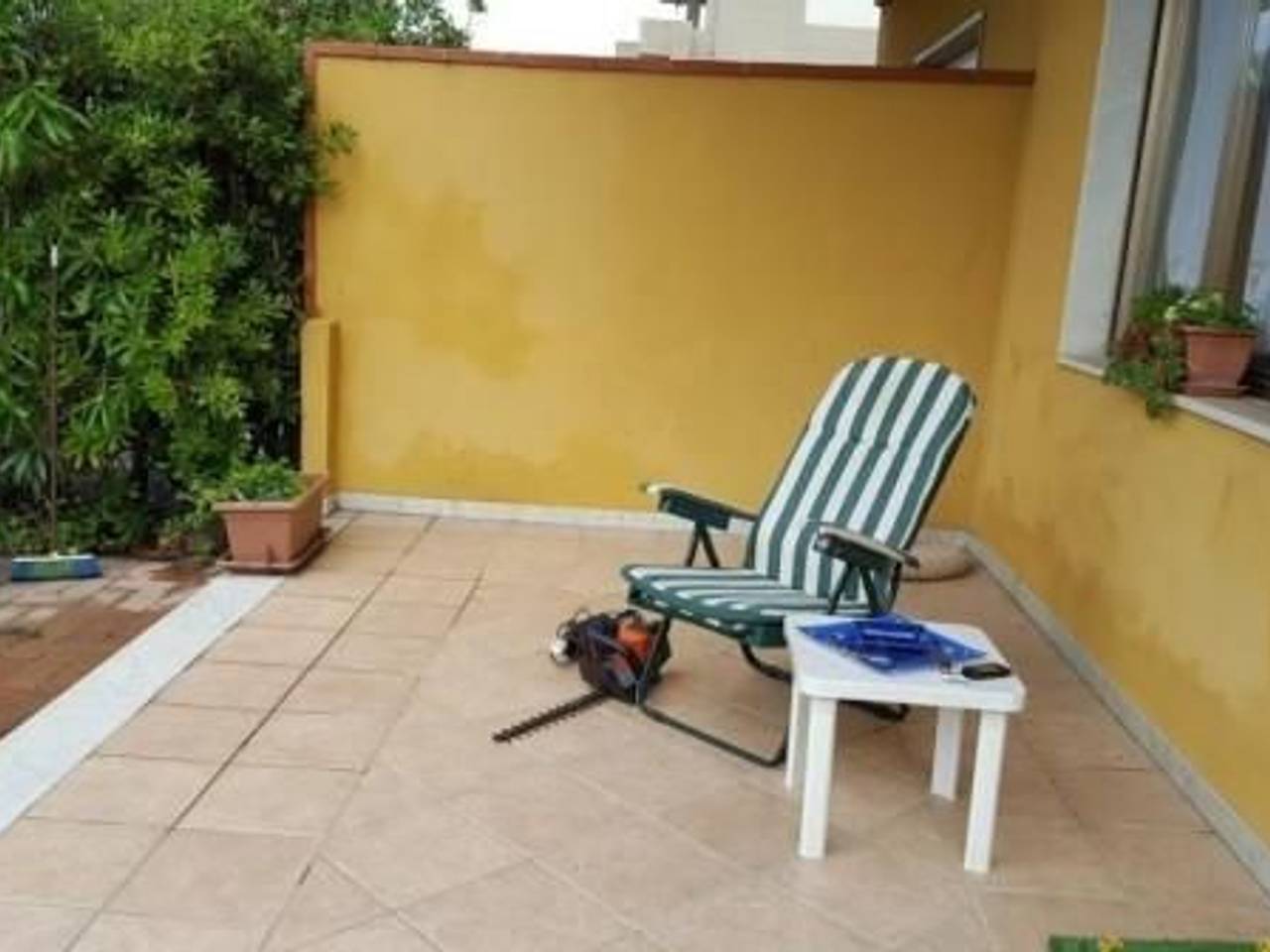 immagine annuncio 4 di 13