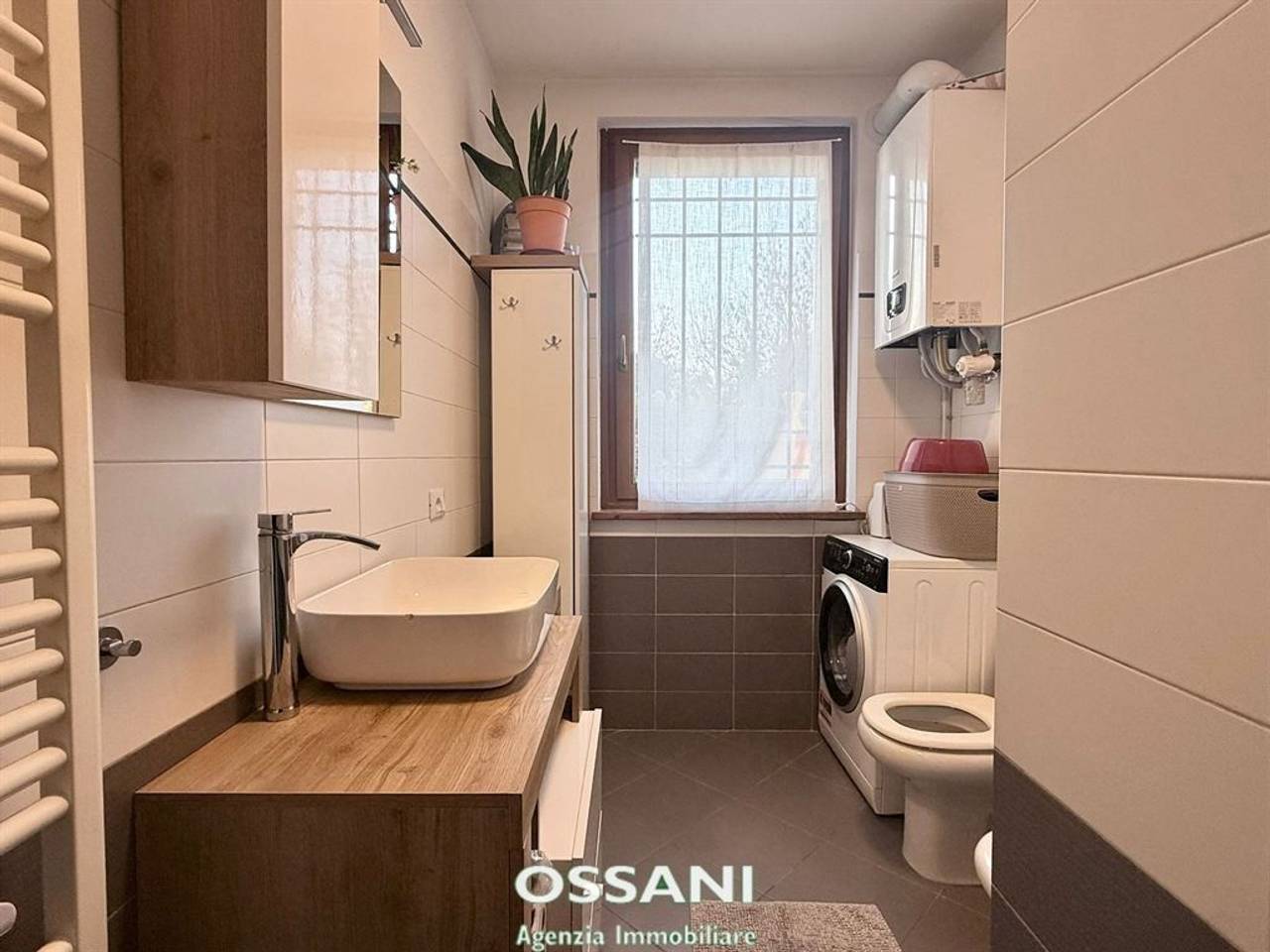 immagine annuncio 8 di 14