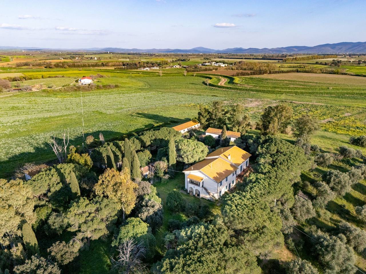 immagine annuncio 2 di 13