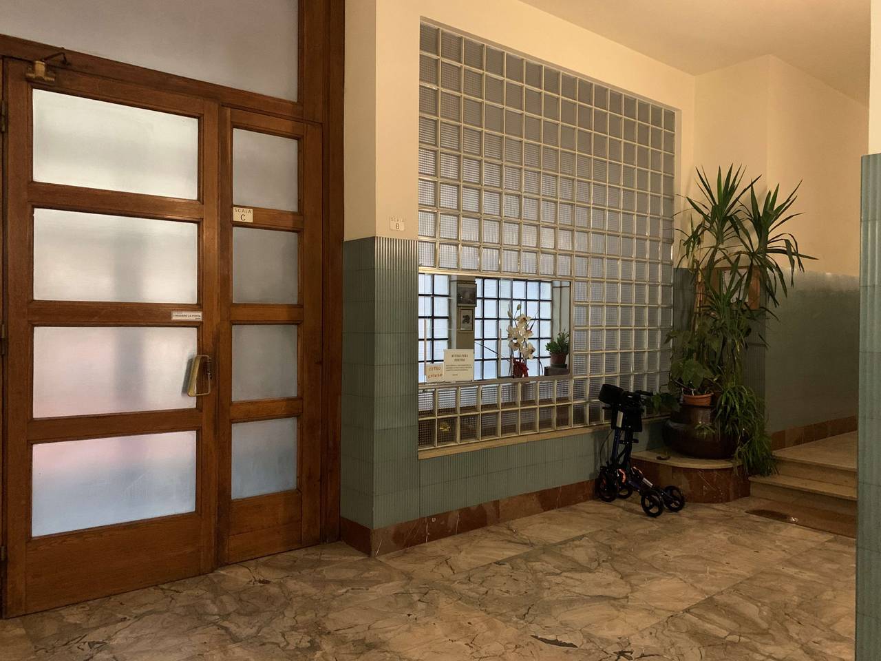 immagine annuncio 13 di 14