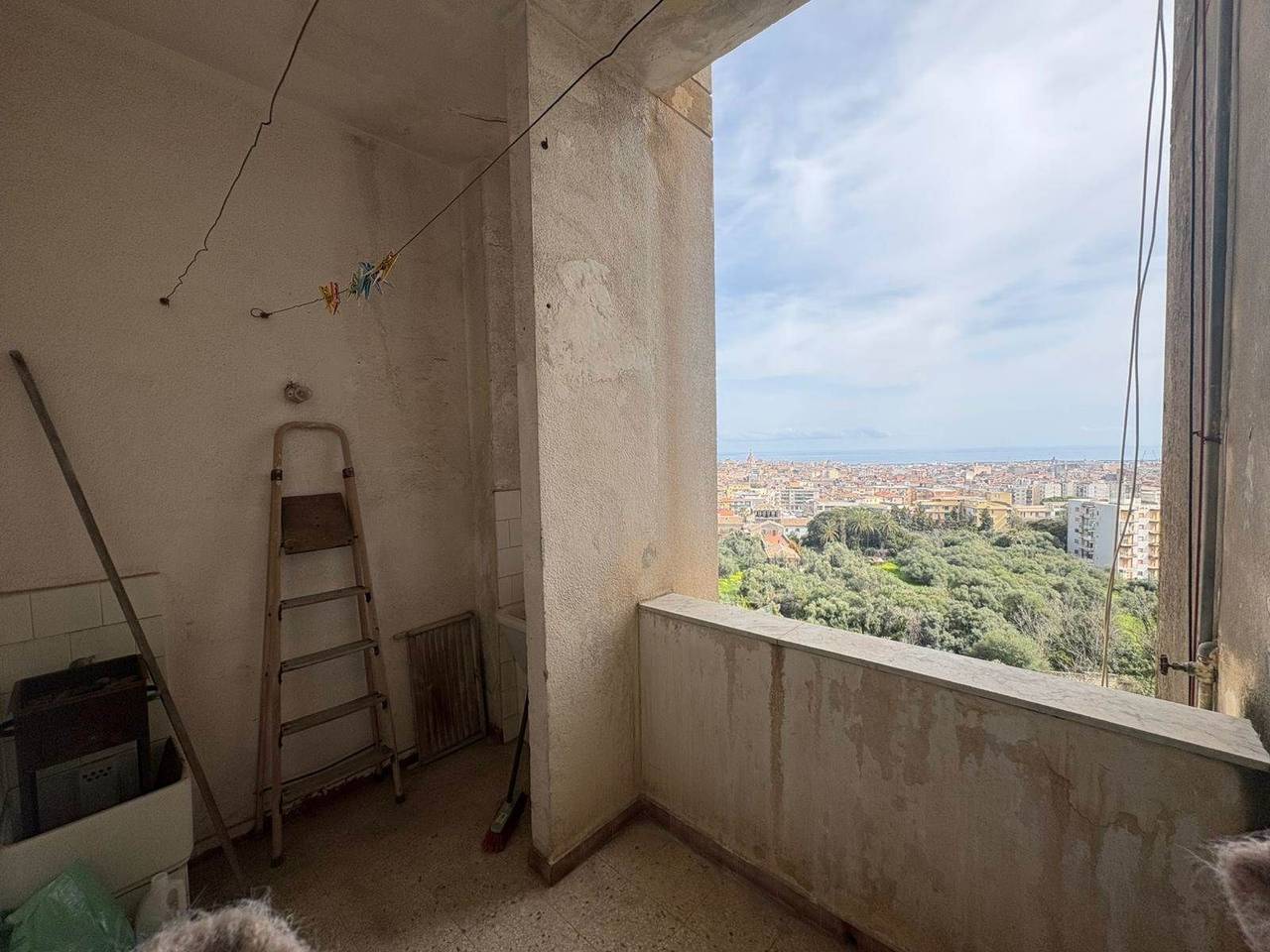 immagine annuncio 10 di 12