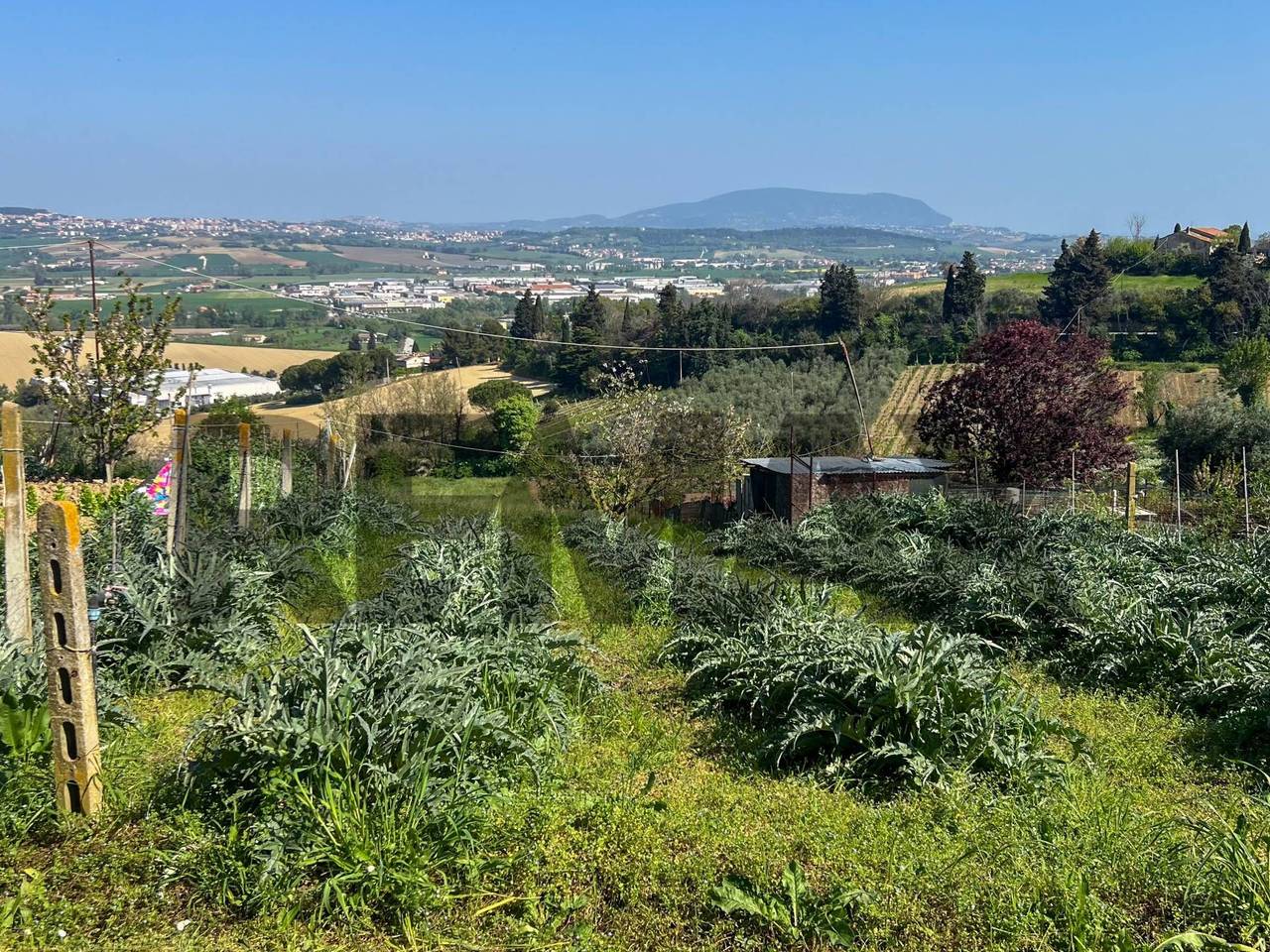 immagine annuncio 14 di 15