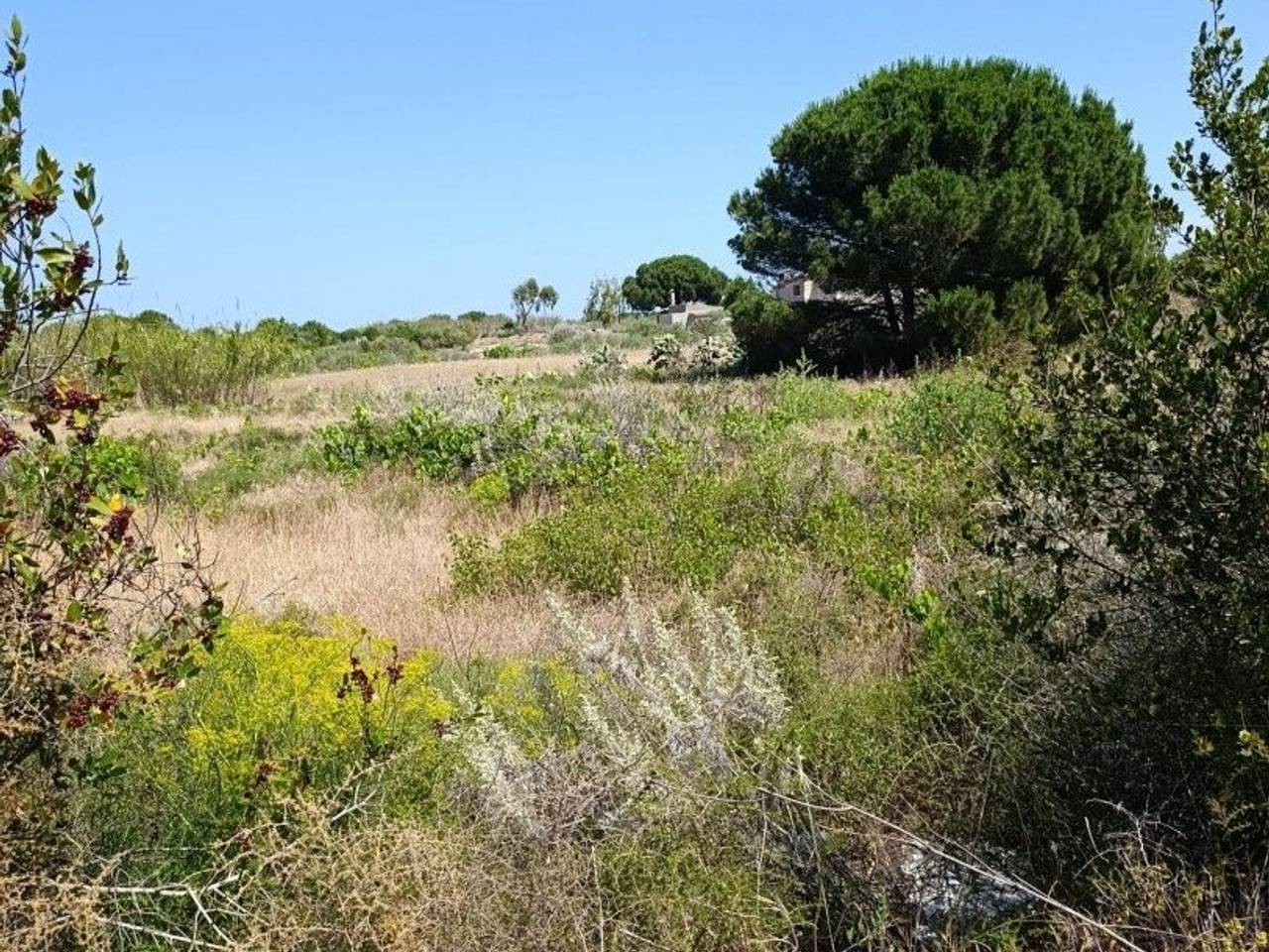 immagine annuncio 2 di 8