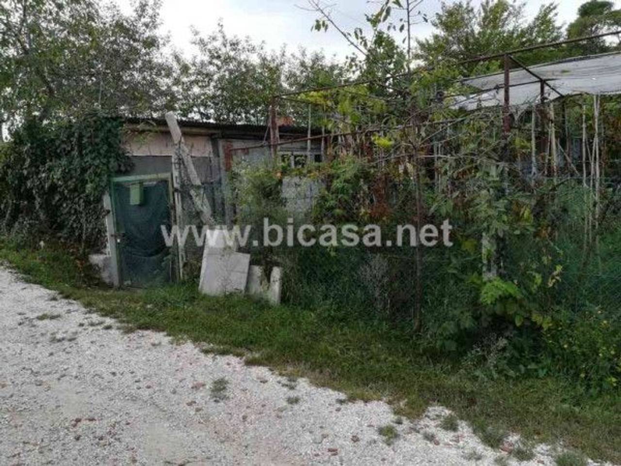 immagine annuncio 5 di 6