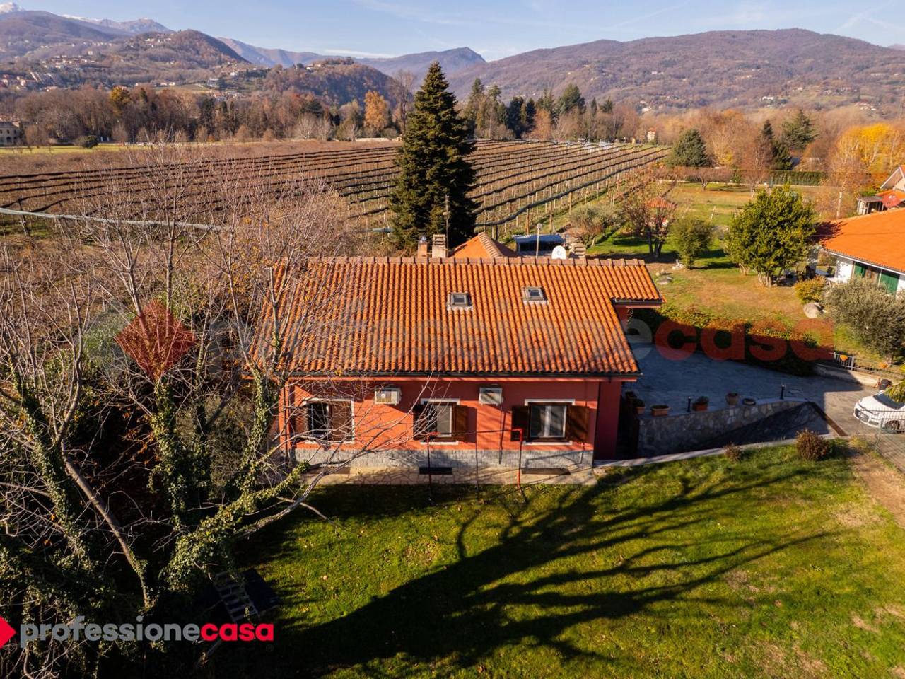 immagine annuncio 11 di 15