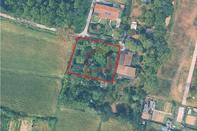 insertion image