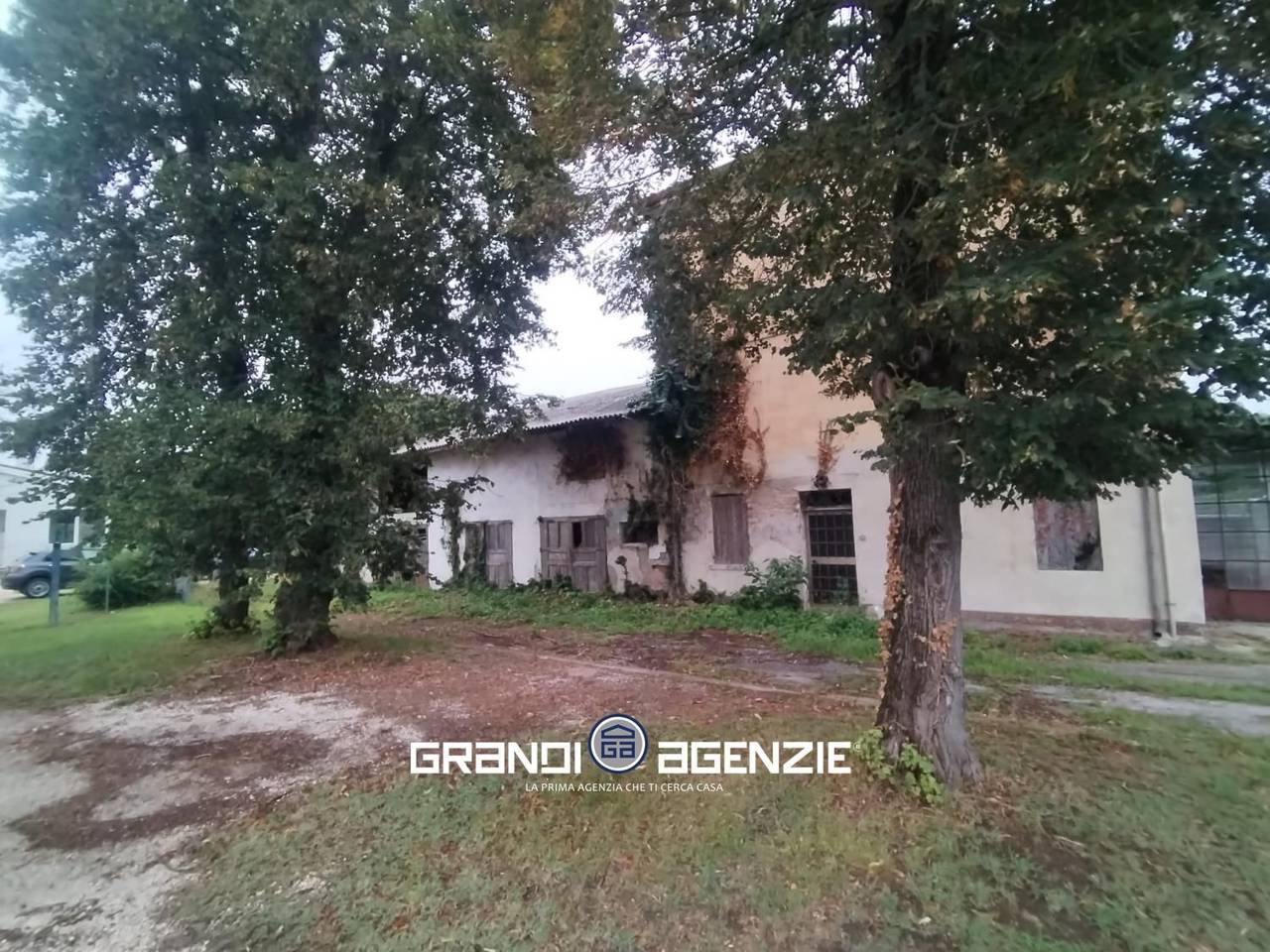 immagine annuncio 2 di 4