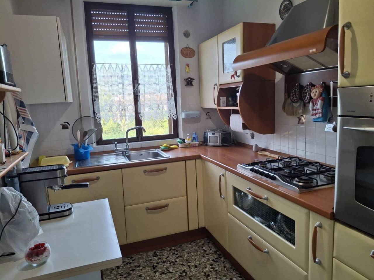 immagine annuncio 12 di 15