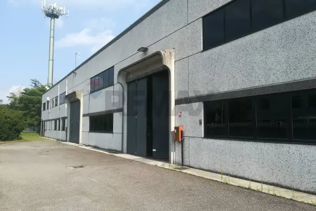insertion image