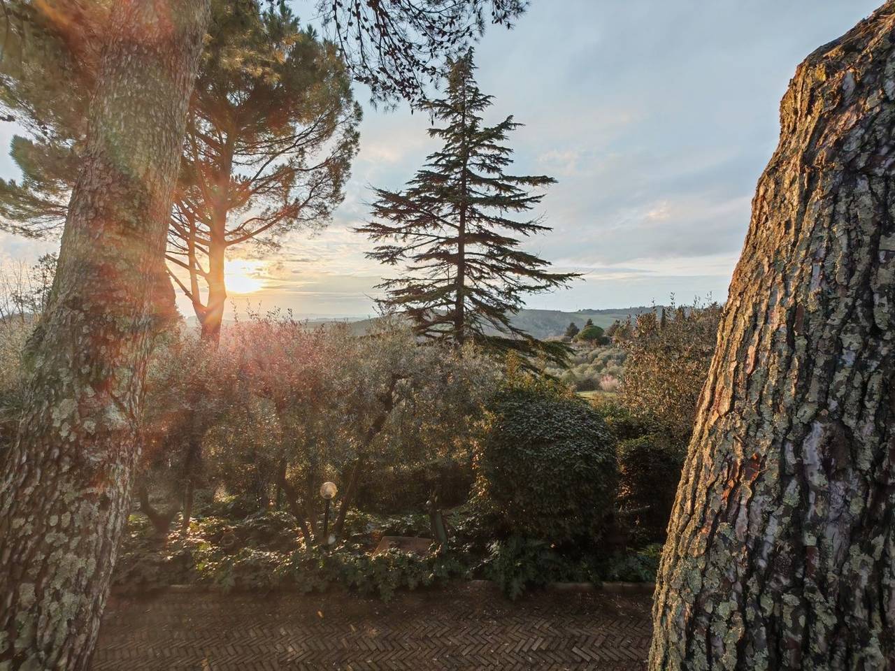 immagine annuncio 7 di 14