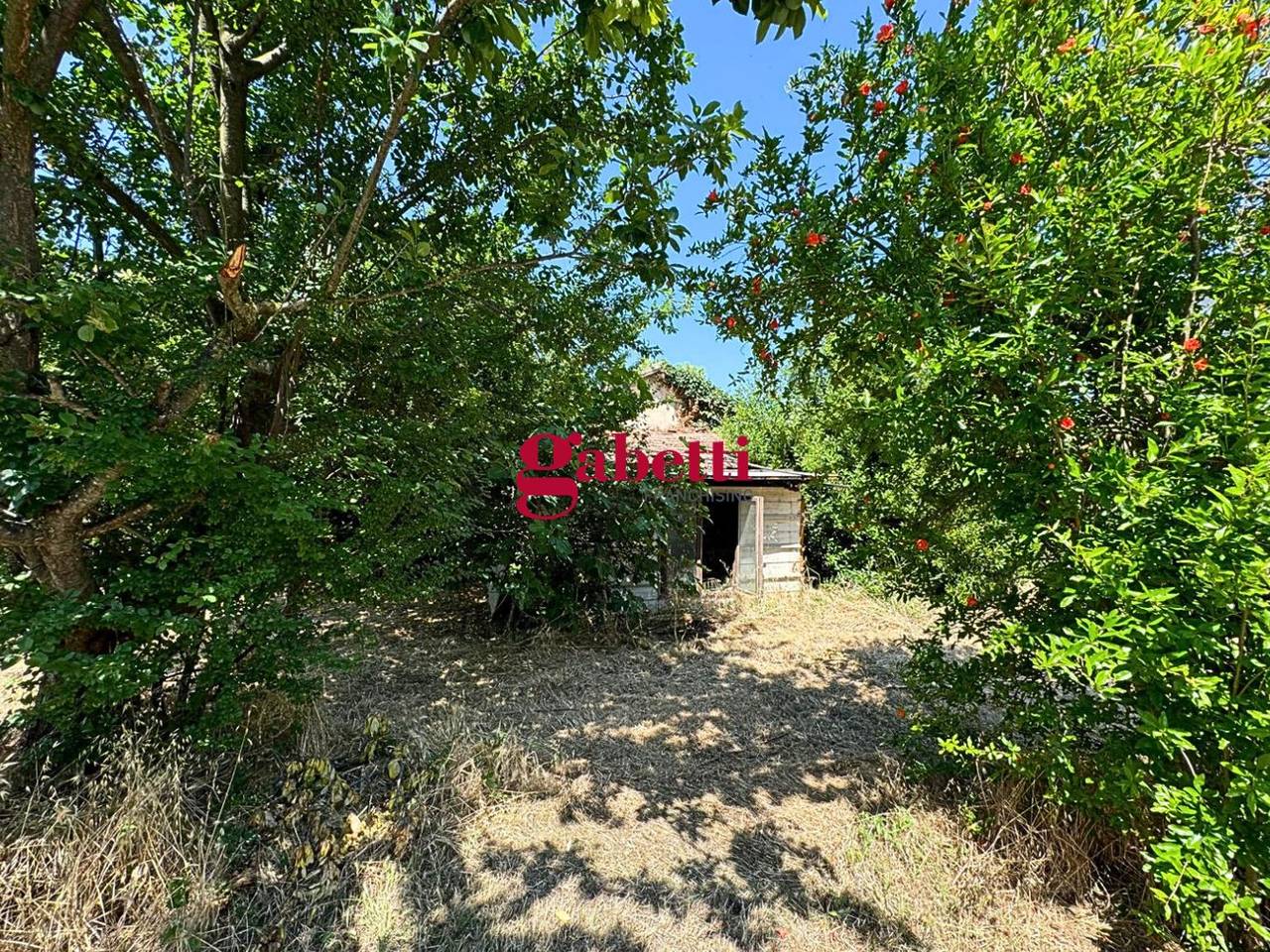 immagine annuncio 4 di 11