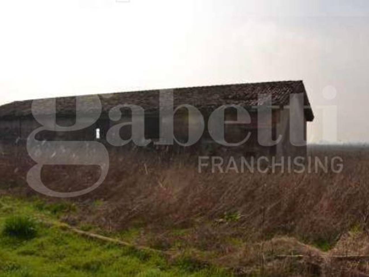 immagine annuncio 6 di 13