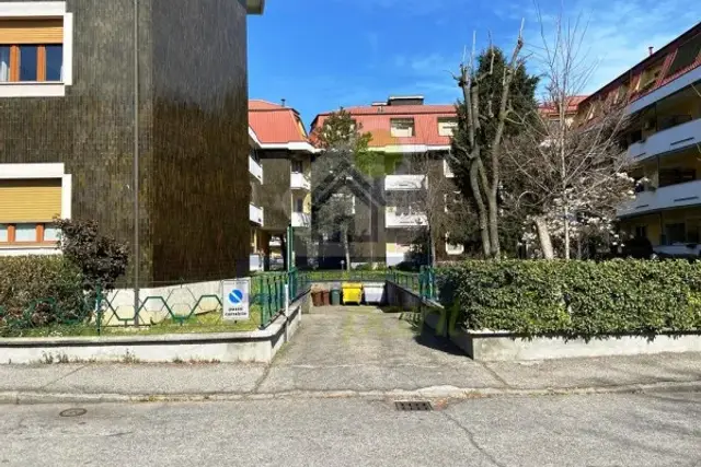 insertion image