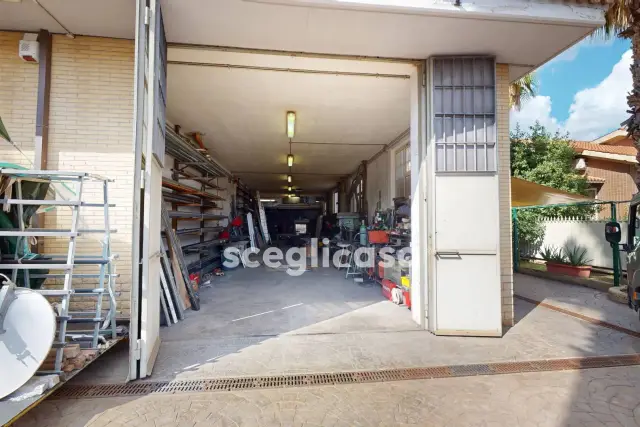 insertion image