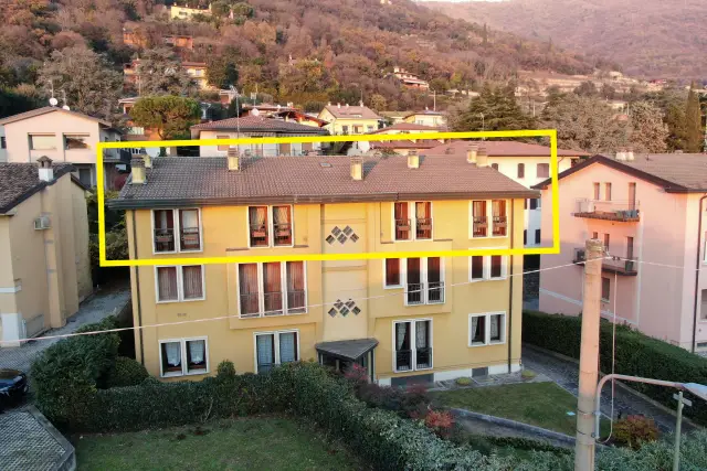 insertion image